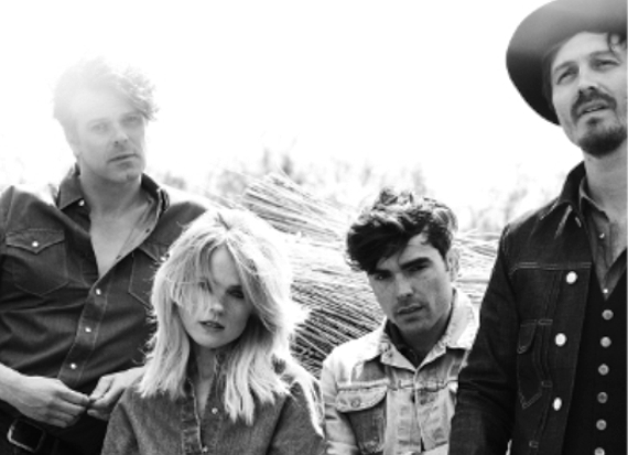 The Common Linnets